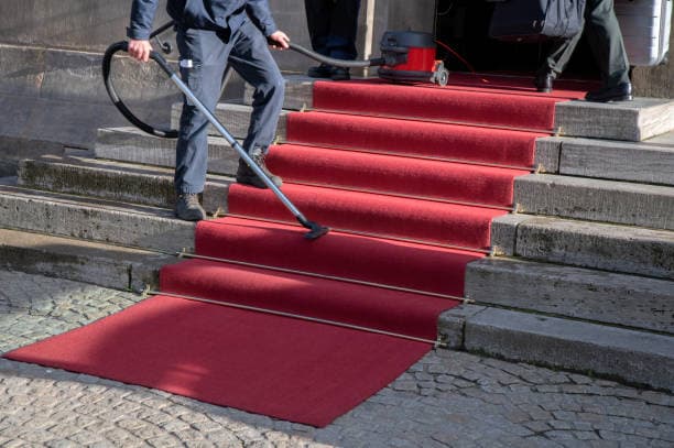 Revitalize Your Carpets with Expert Care