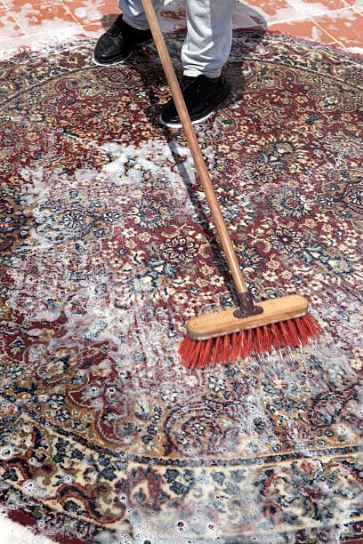 <p>At Royal Oak Carpet Cleaning, we believe that a clean home or office is a happy home or office. F...